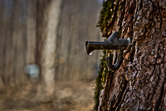 Funks Grove Tap2