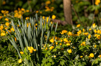 April 15, 2024 at Ewing-2