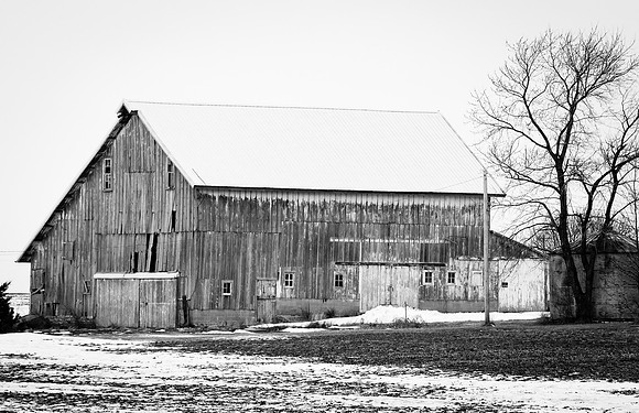Black and White Barn