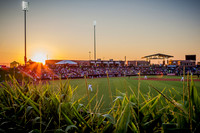 Field of Dreams