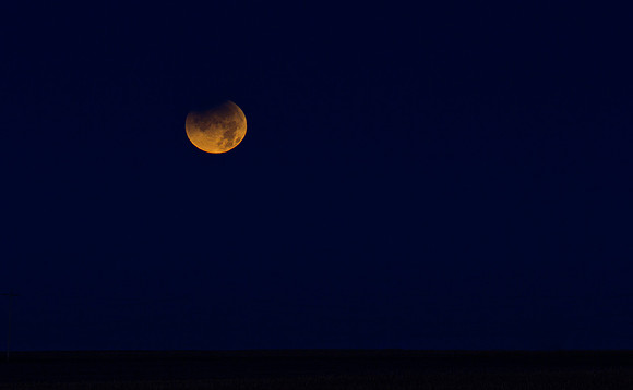 December 09, 2011IMG_6908-2