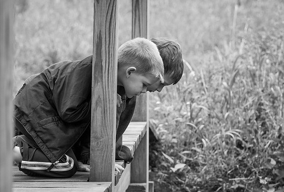 Exploring Brothers